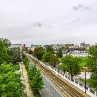 Lokal na wynajem